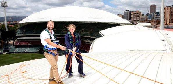 roof-climb