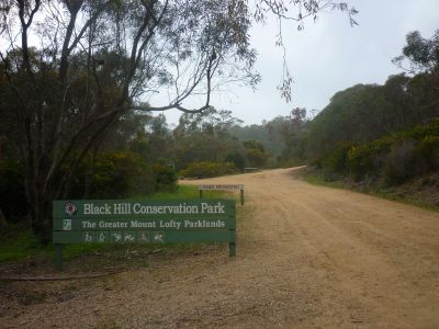 Black Hill Conservation Park 